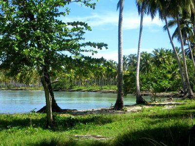 Playa Grande Las Galeras Samaná République Dominicaine